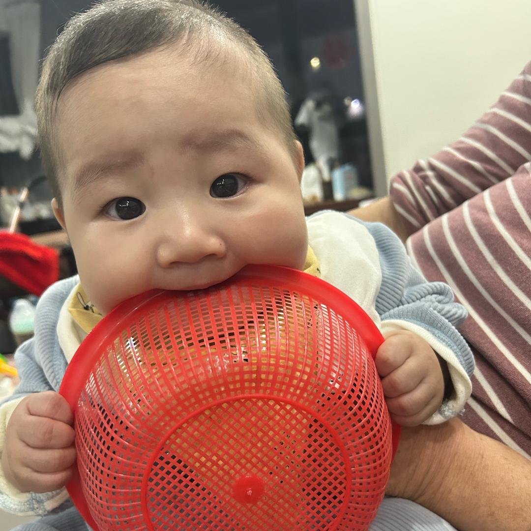 小核桃兔兔