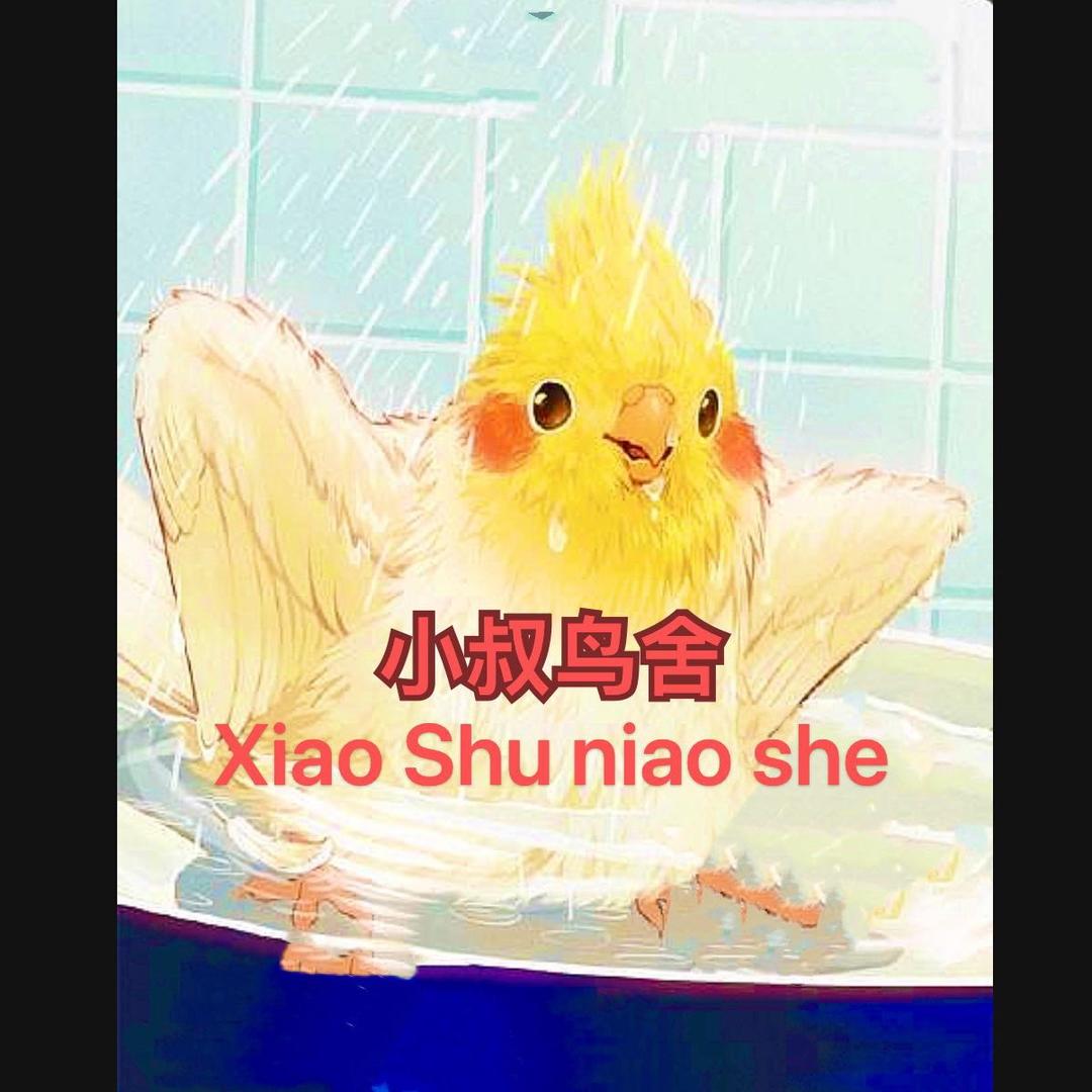鹦鹉小叔