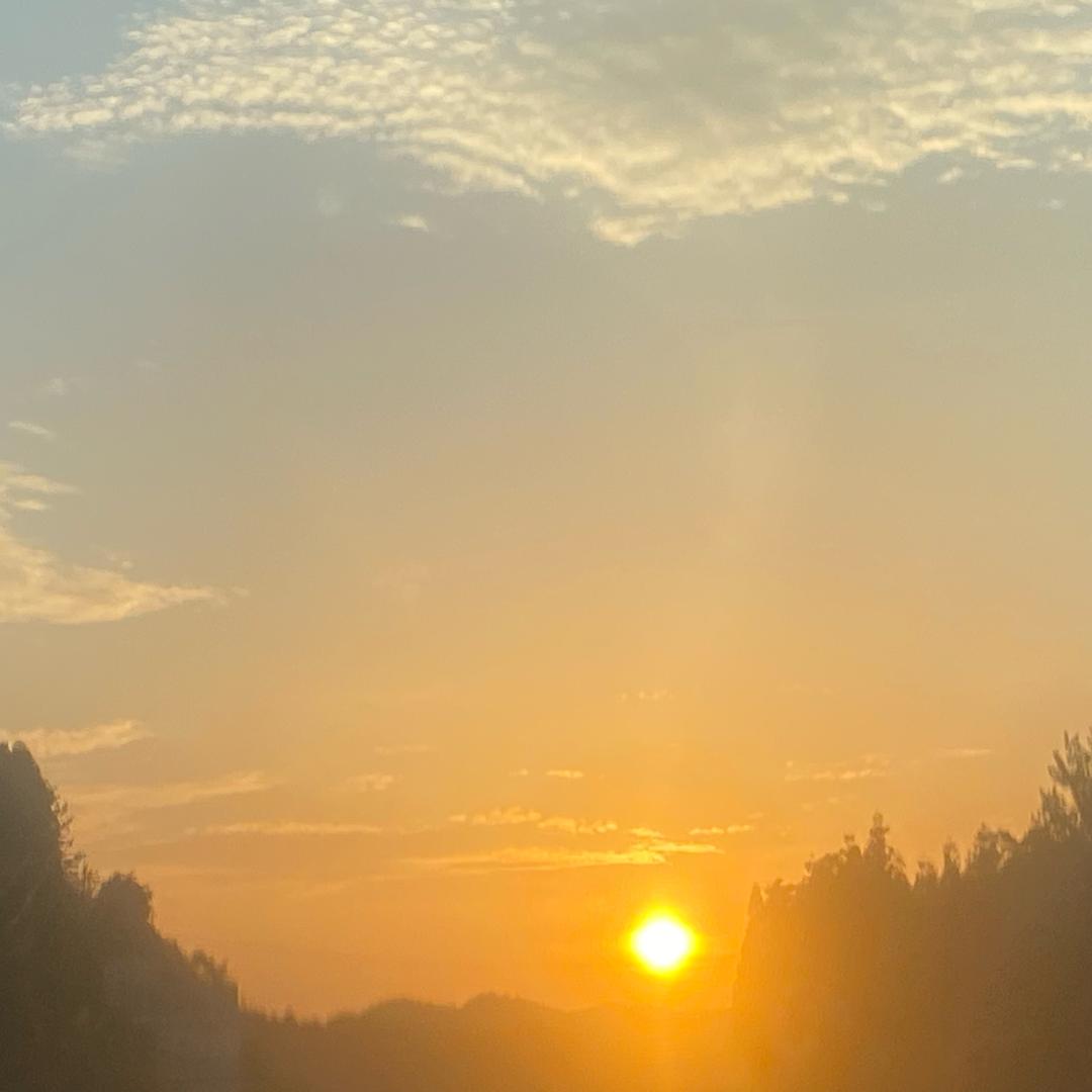 沉默🤷‍♀️不代表💕懦弱🦋