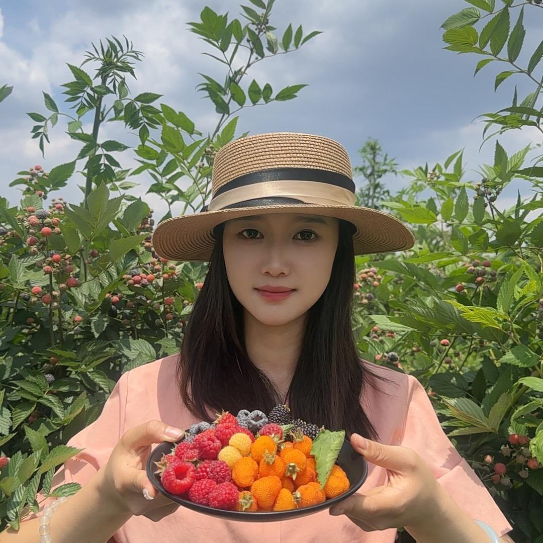 滇农树莓苗基地直供