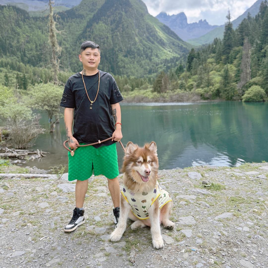 阿虎Tiger