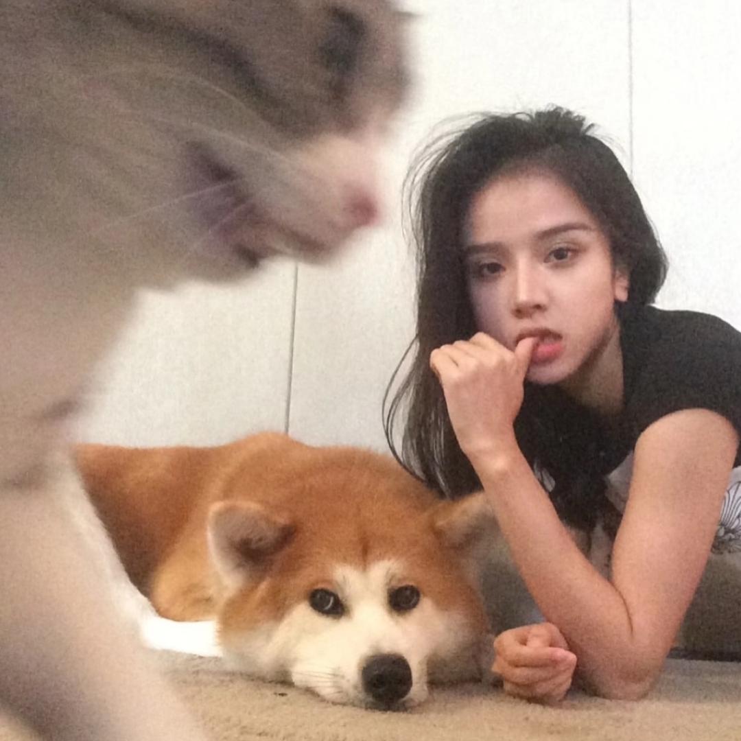 我不是包仙(低价版)