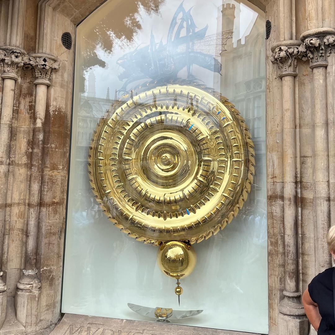 登山看鸟🐦，下海摸鱼🐟