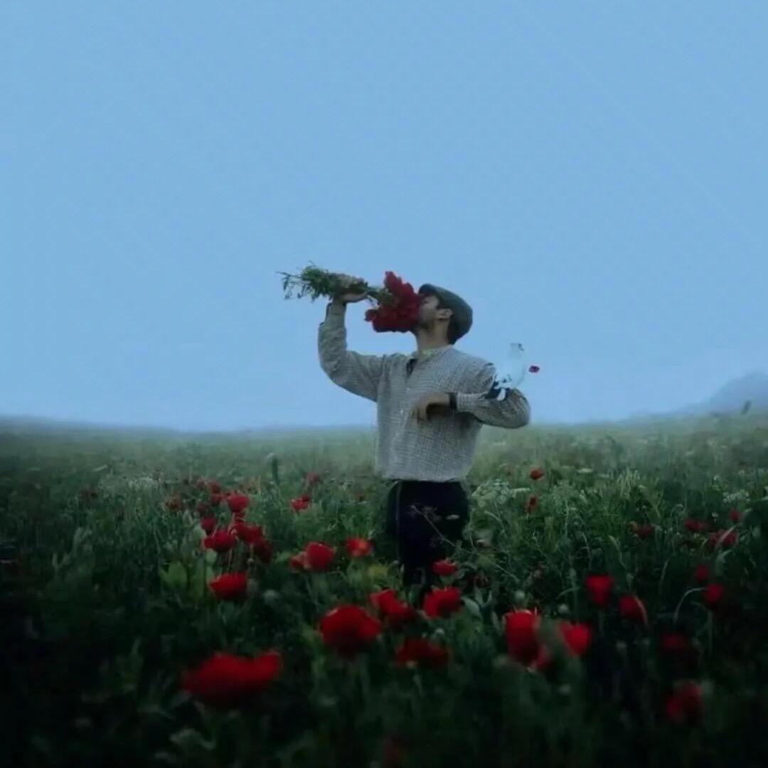 叶落北溪🍃（摄影约拍）