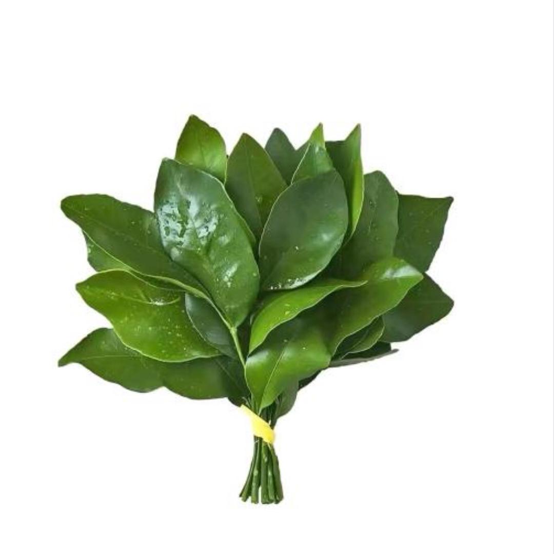 朝阳区祥胜传媒工作室