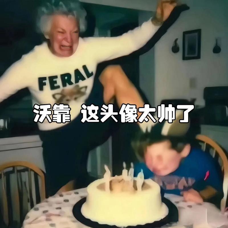 谁与不笑猫头像
