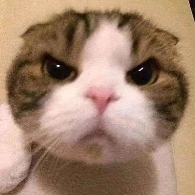 火鸡面殿下