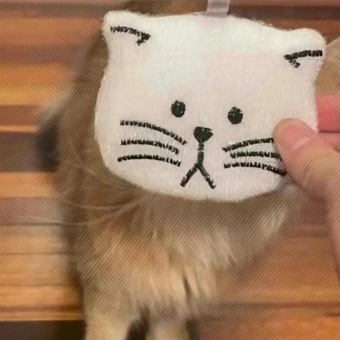 闲鱼不是鱼