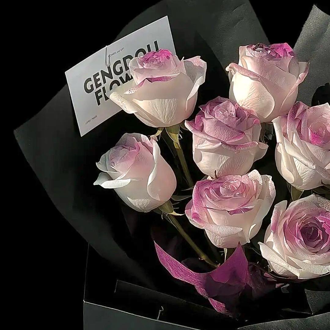 注定风是不羁旅人