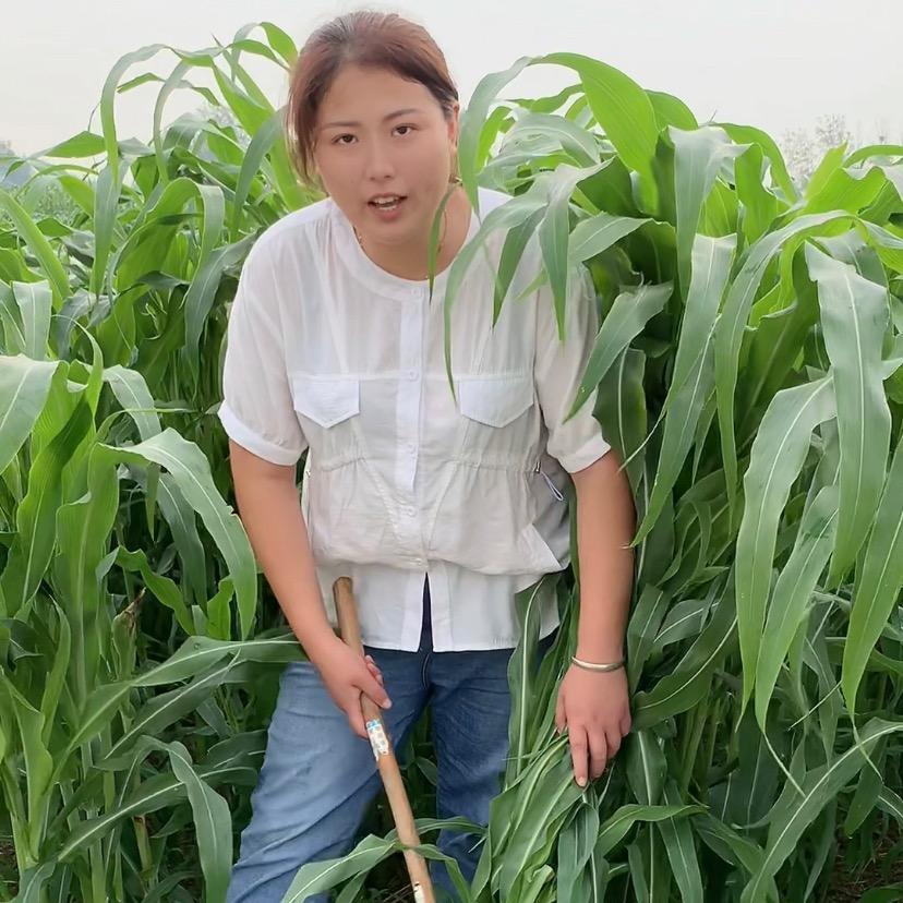 亿豪牧草