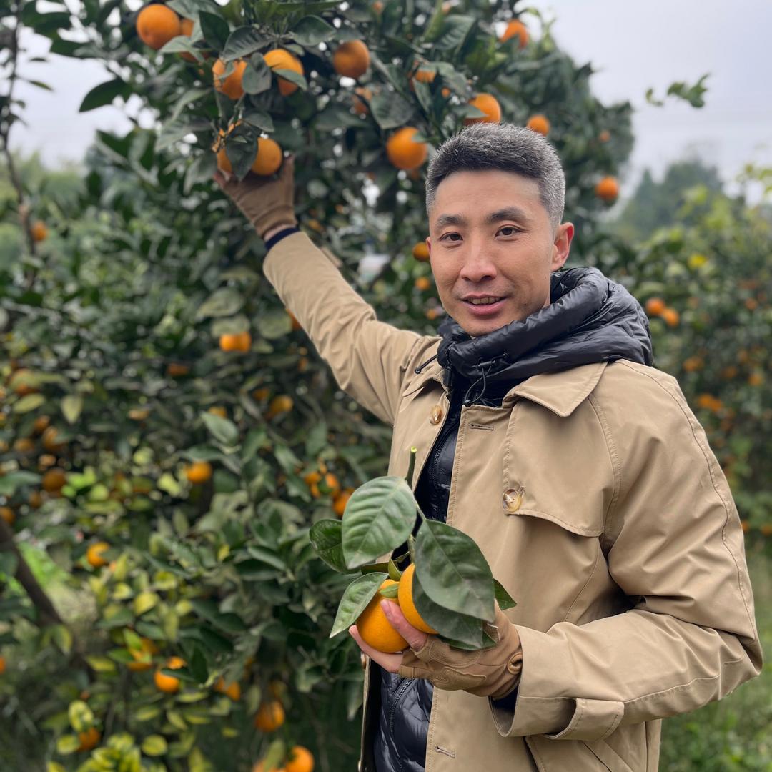 绿色原野鲜果店