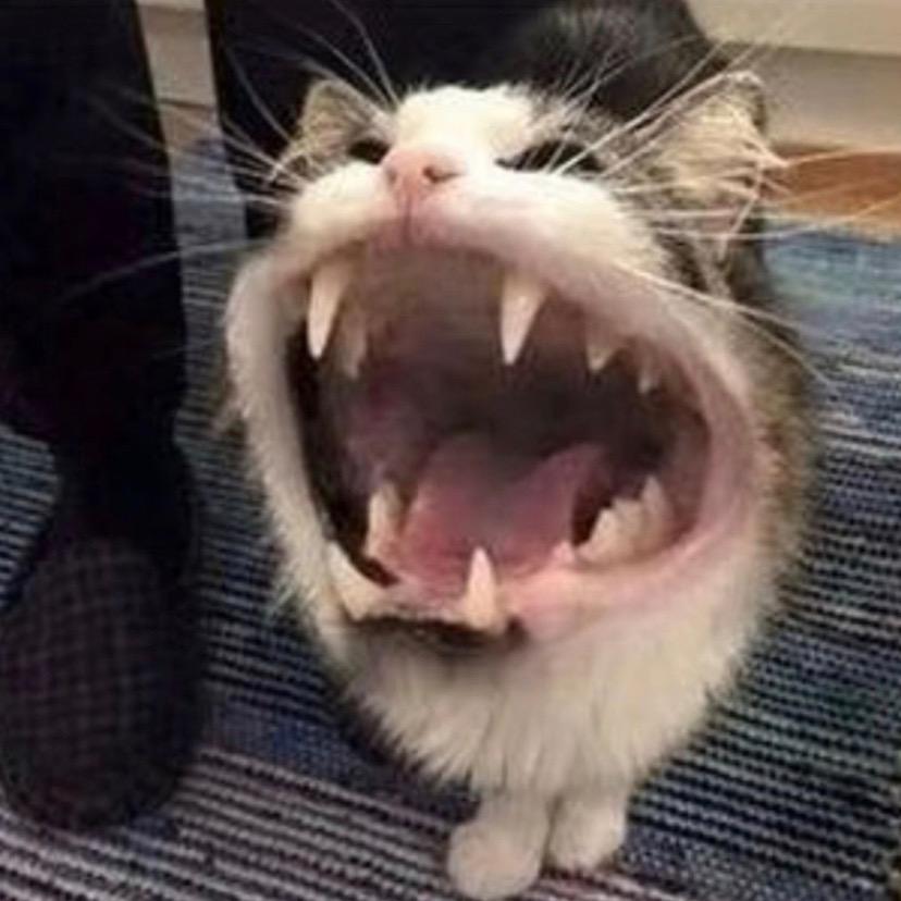 梦幻生活小铺E2P