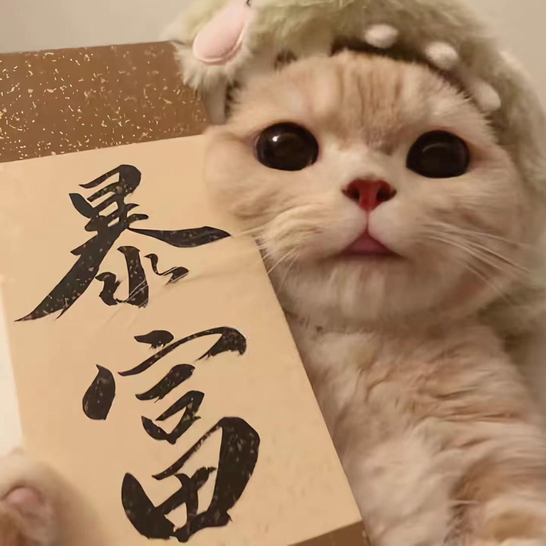 鑫腾淼-小财猫