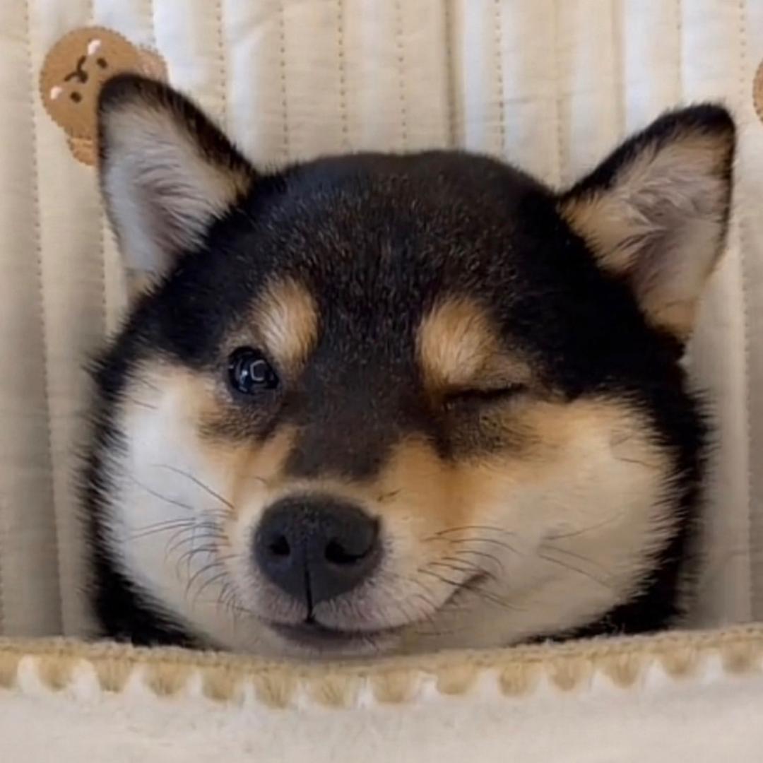 王二狗