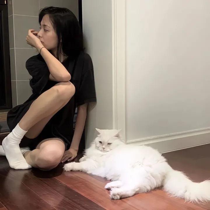 解救香菜tt