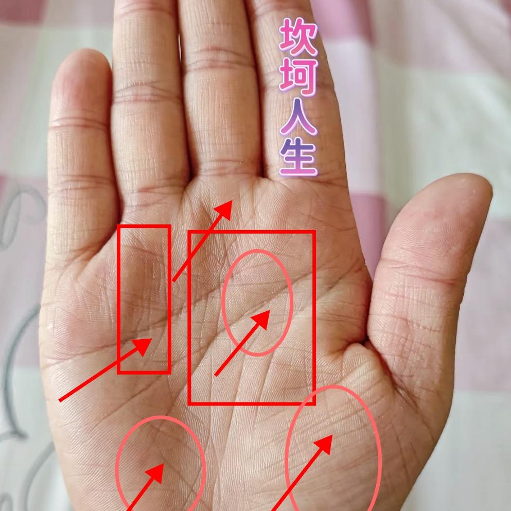 正缘难寻👁️👁️