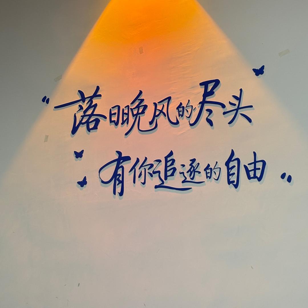 肥肥猫