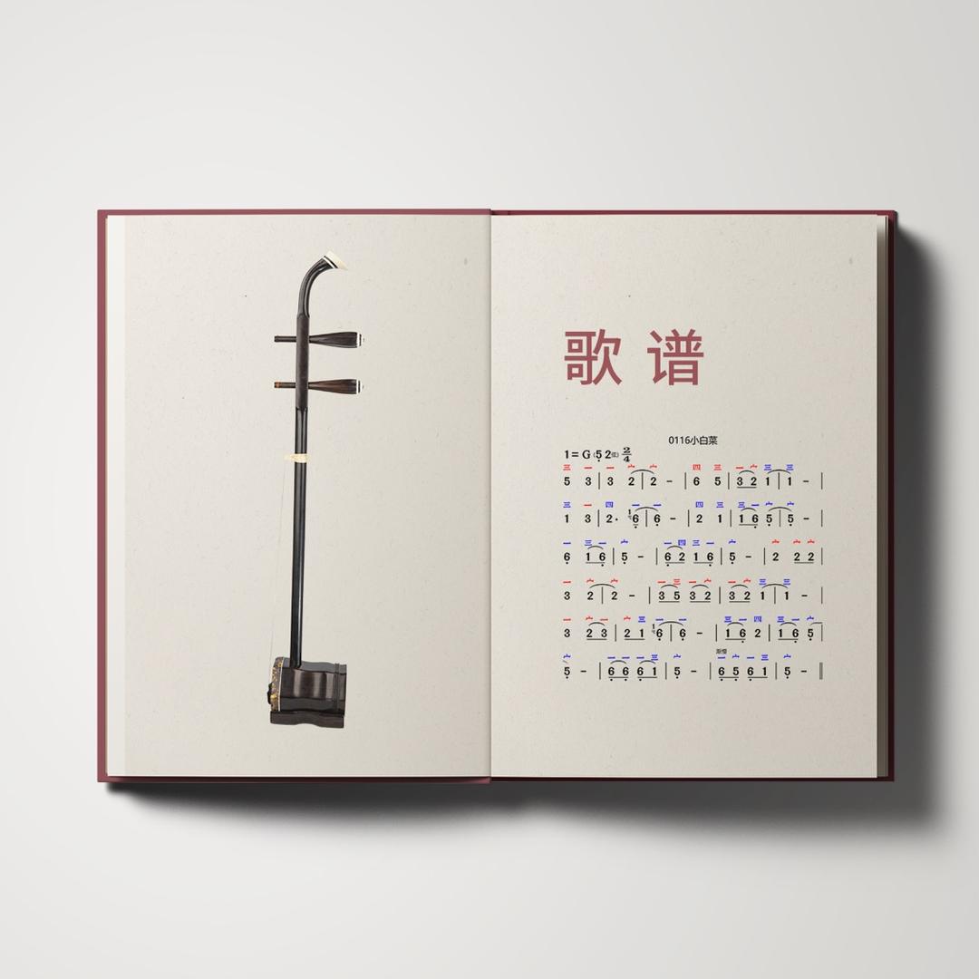 千延二胡教学