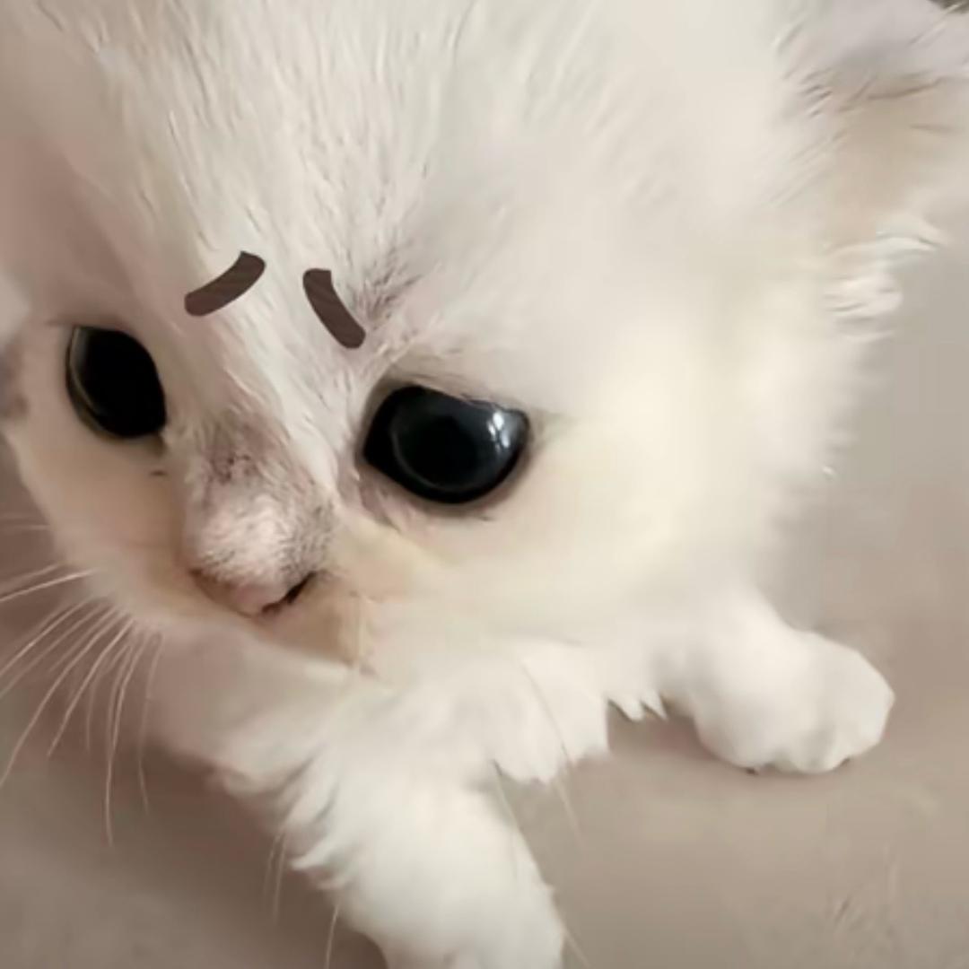尖叫土拨鼠