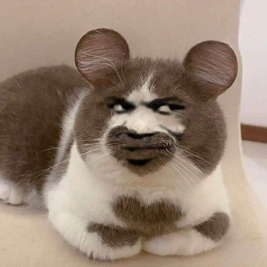 L好