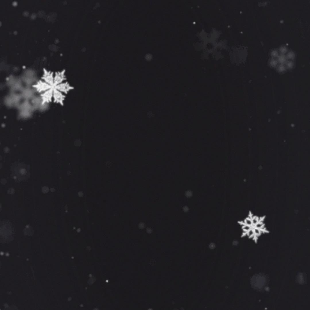 蘩华落尽芣莣初杺_