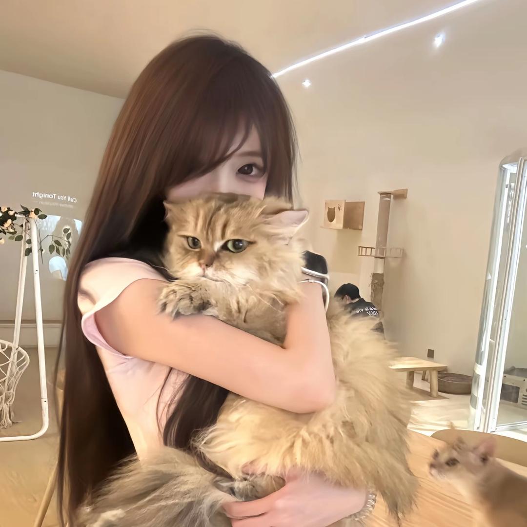 小元宝🐾