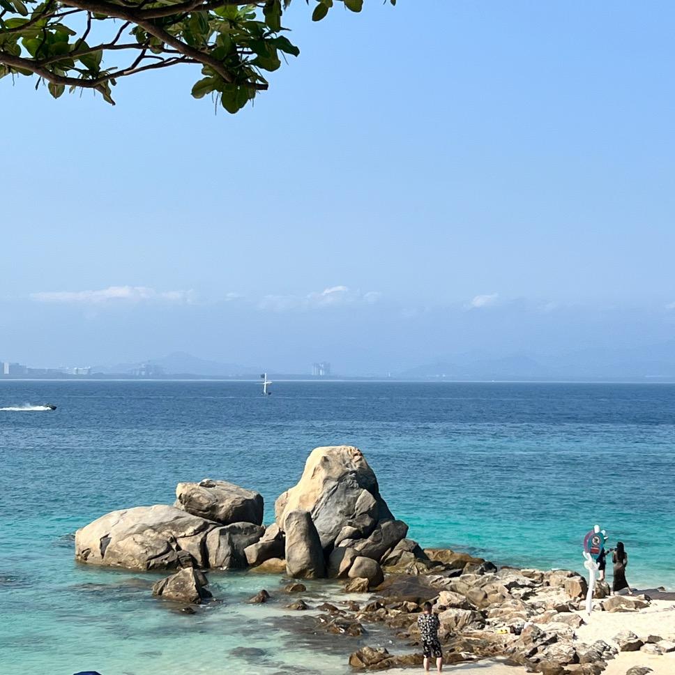 🐉飞龙在天🐉