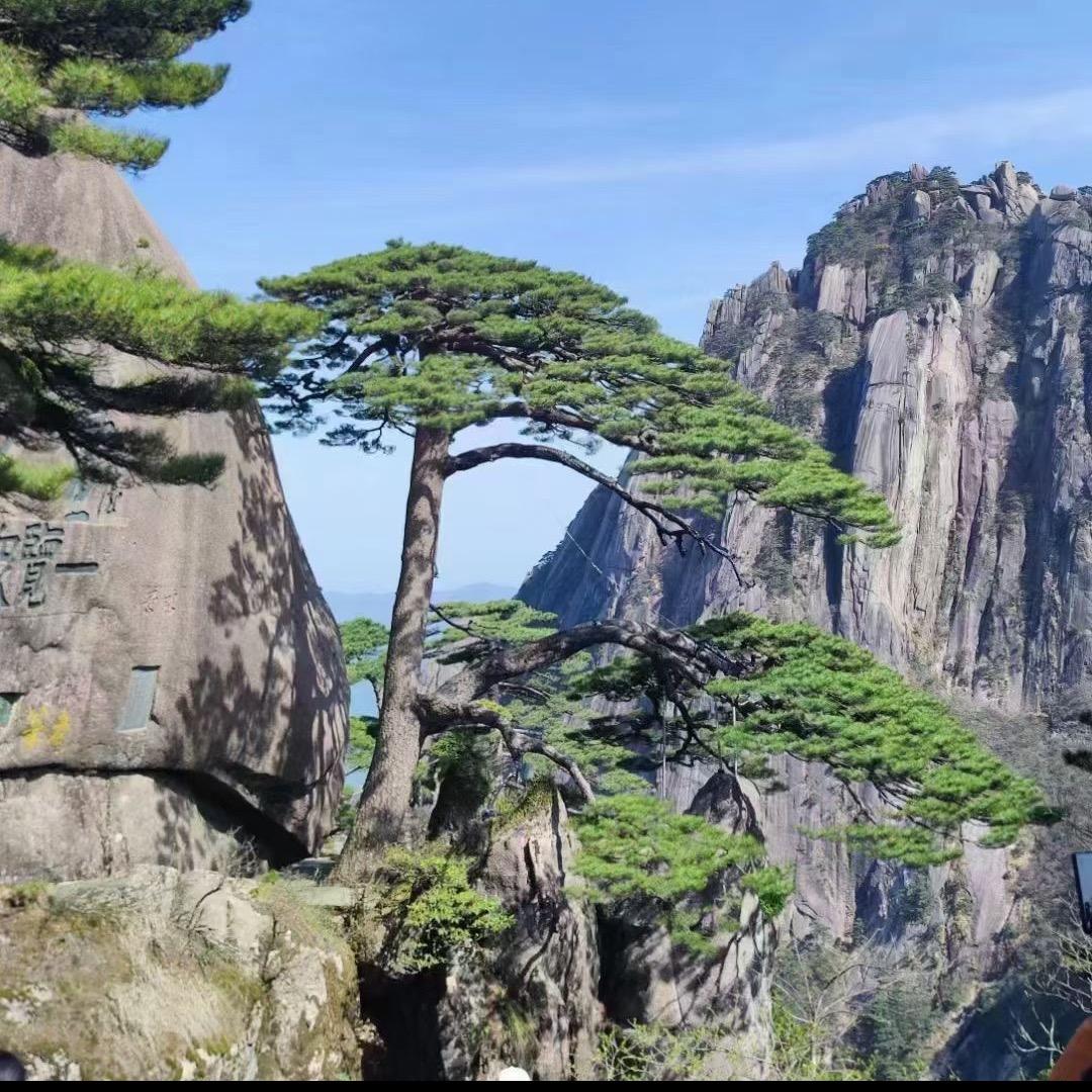 握不住的沙