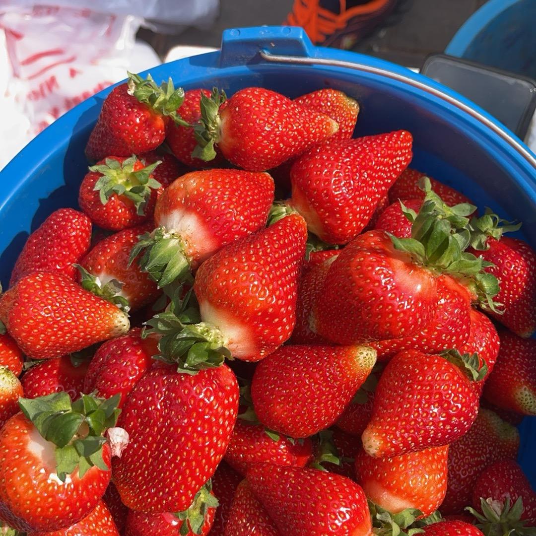 云朵舒芙蕾（准格尔夜市）