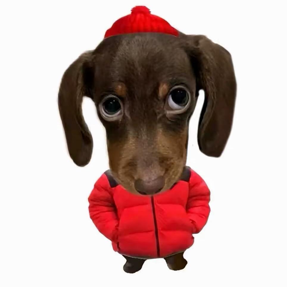 不吃香辣螃蟹🦀