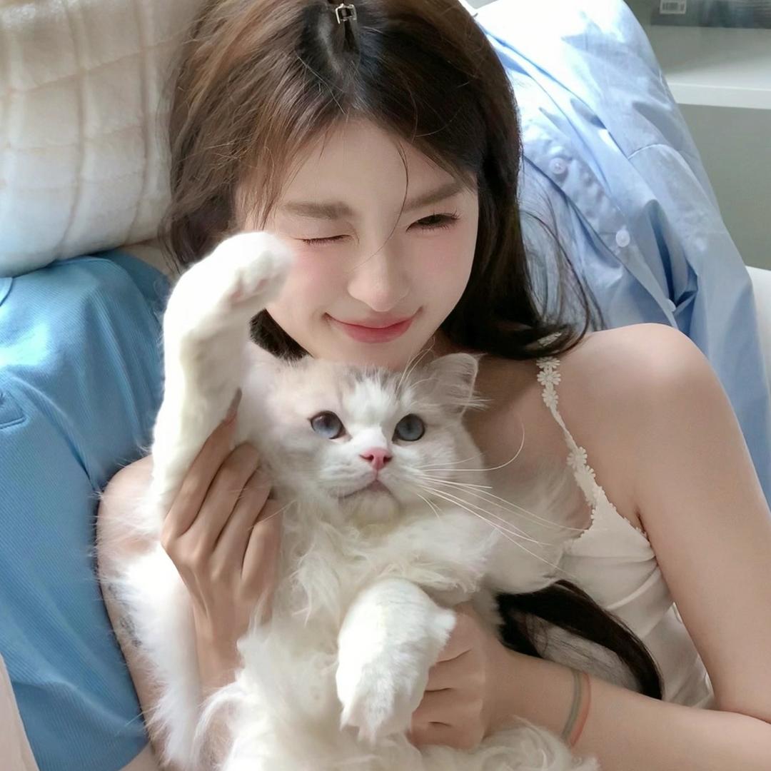 猫猫咪呀