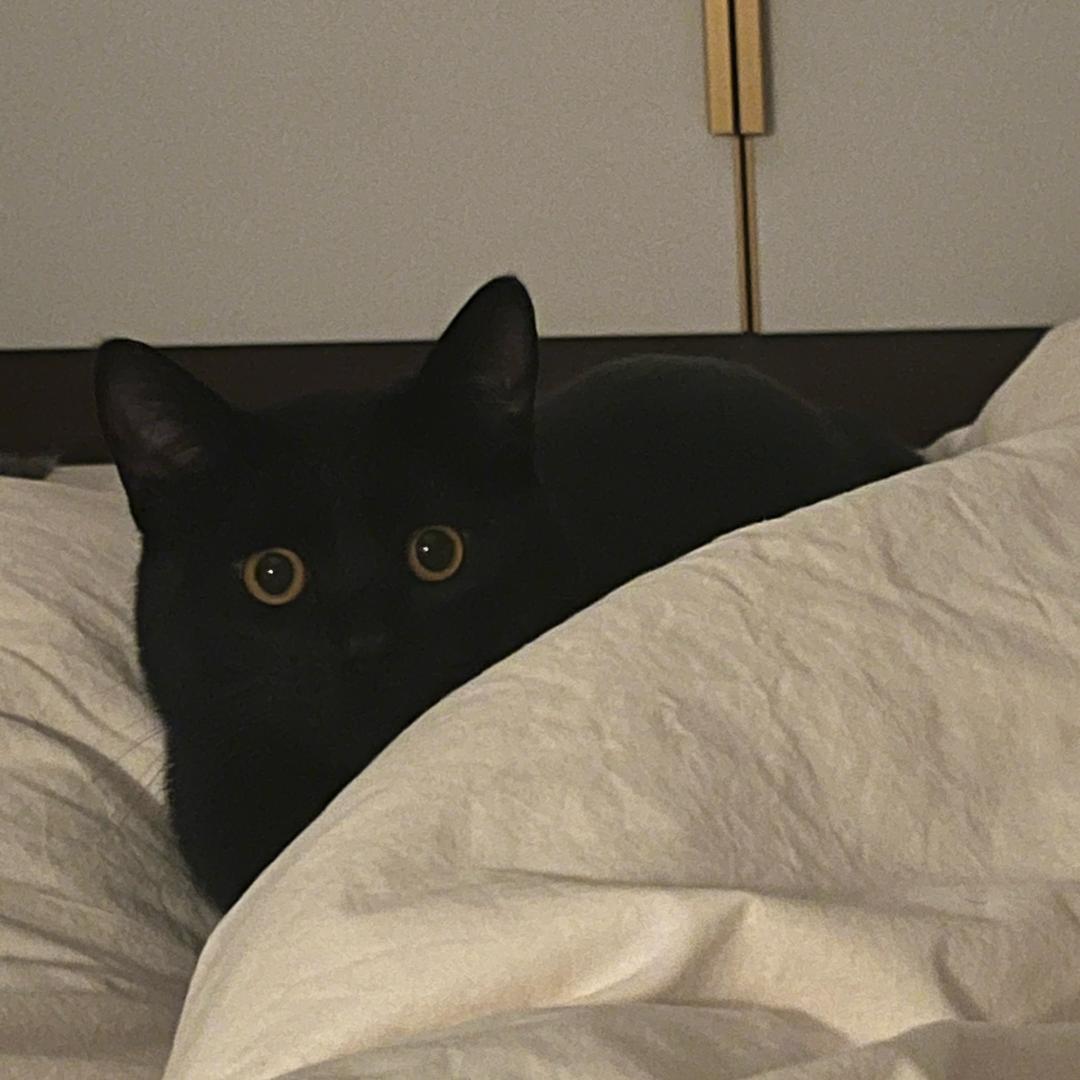 Sikdg.