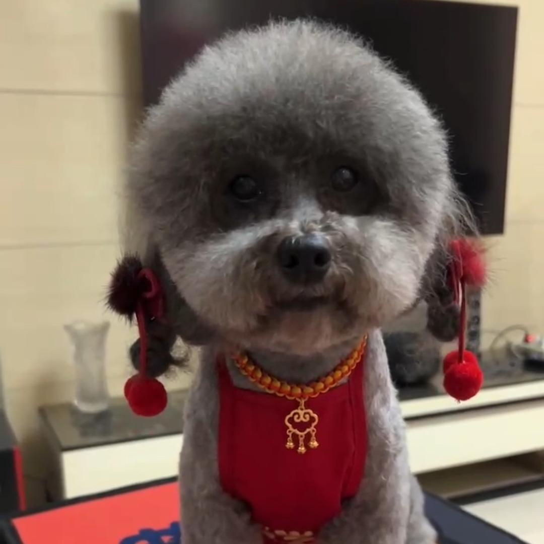 米兰❤️同学