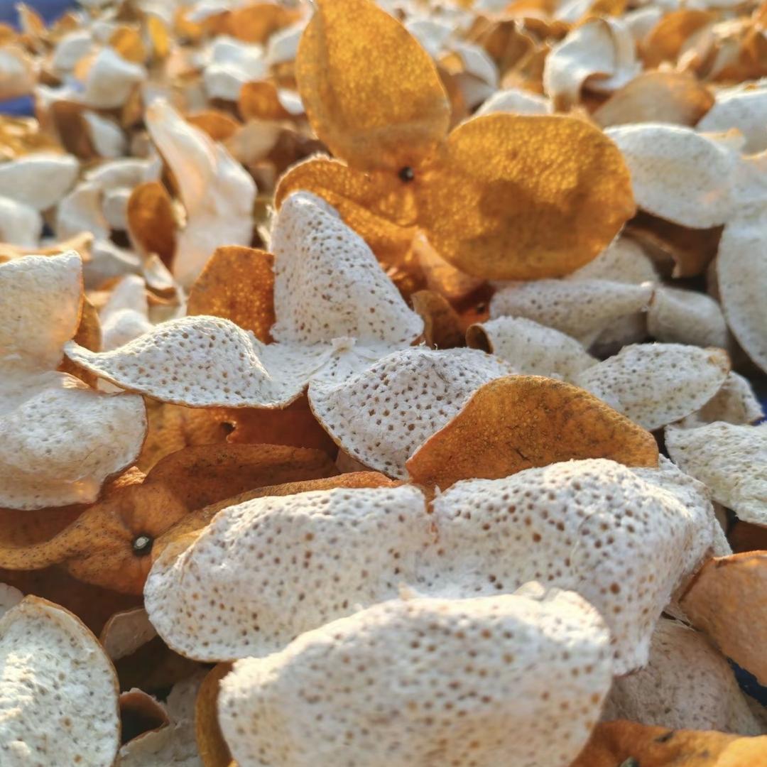 彬哥藏皮（新会陈皮推荐人）