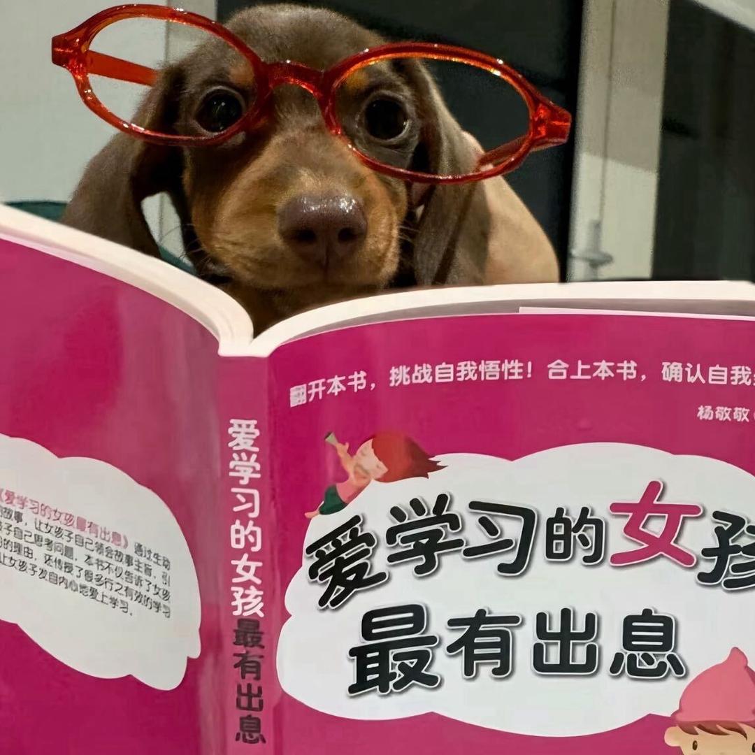 （一金苹果派）23.0