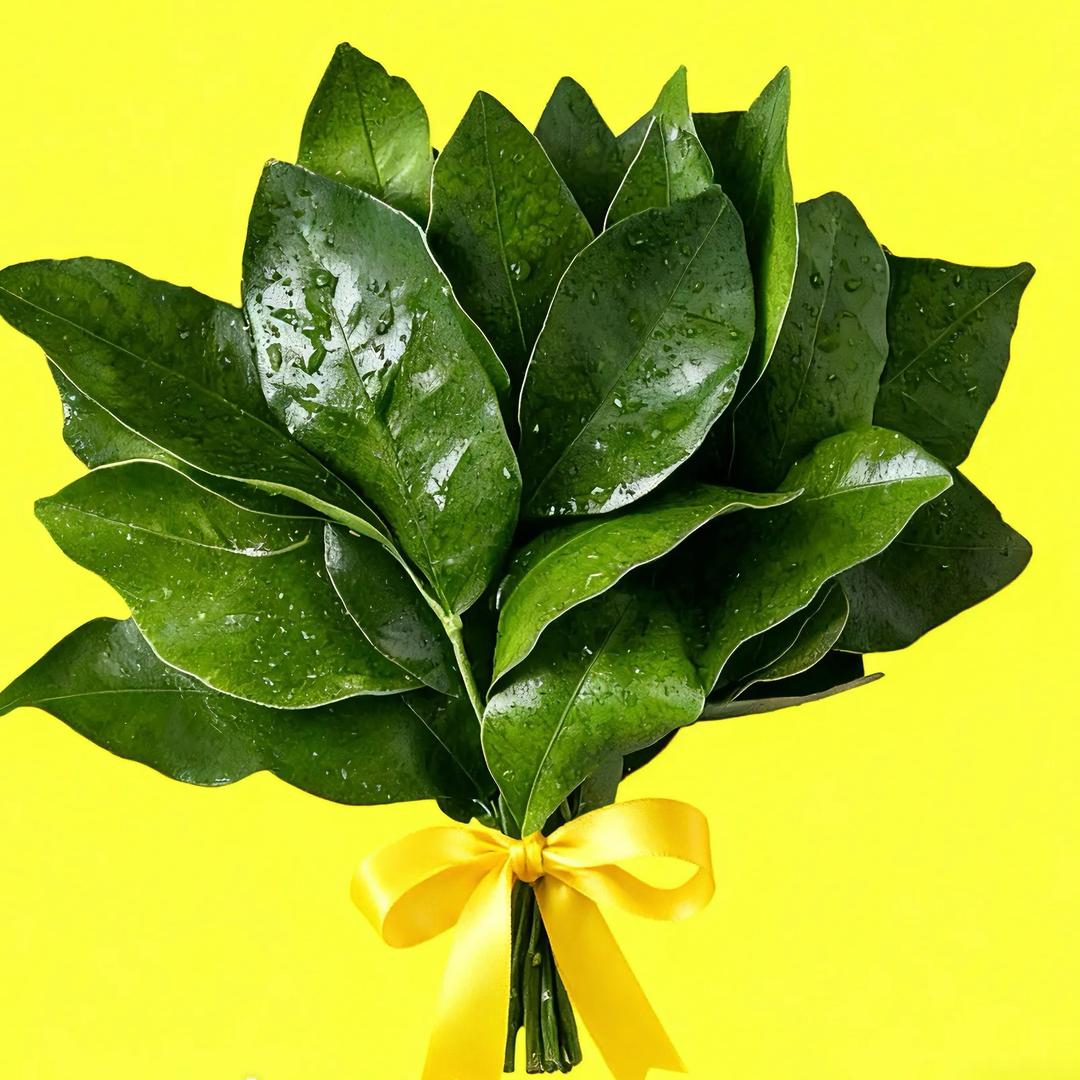 火车道上趴小人儿🚂