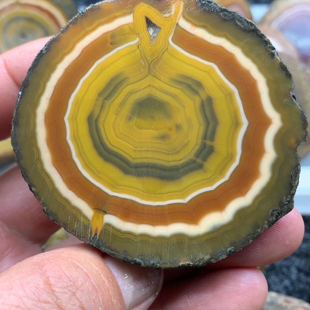 彩红臻品店二号