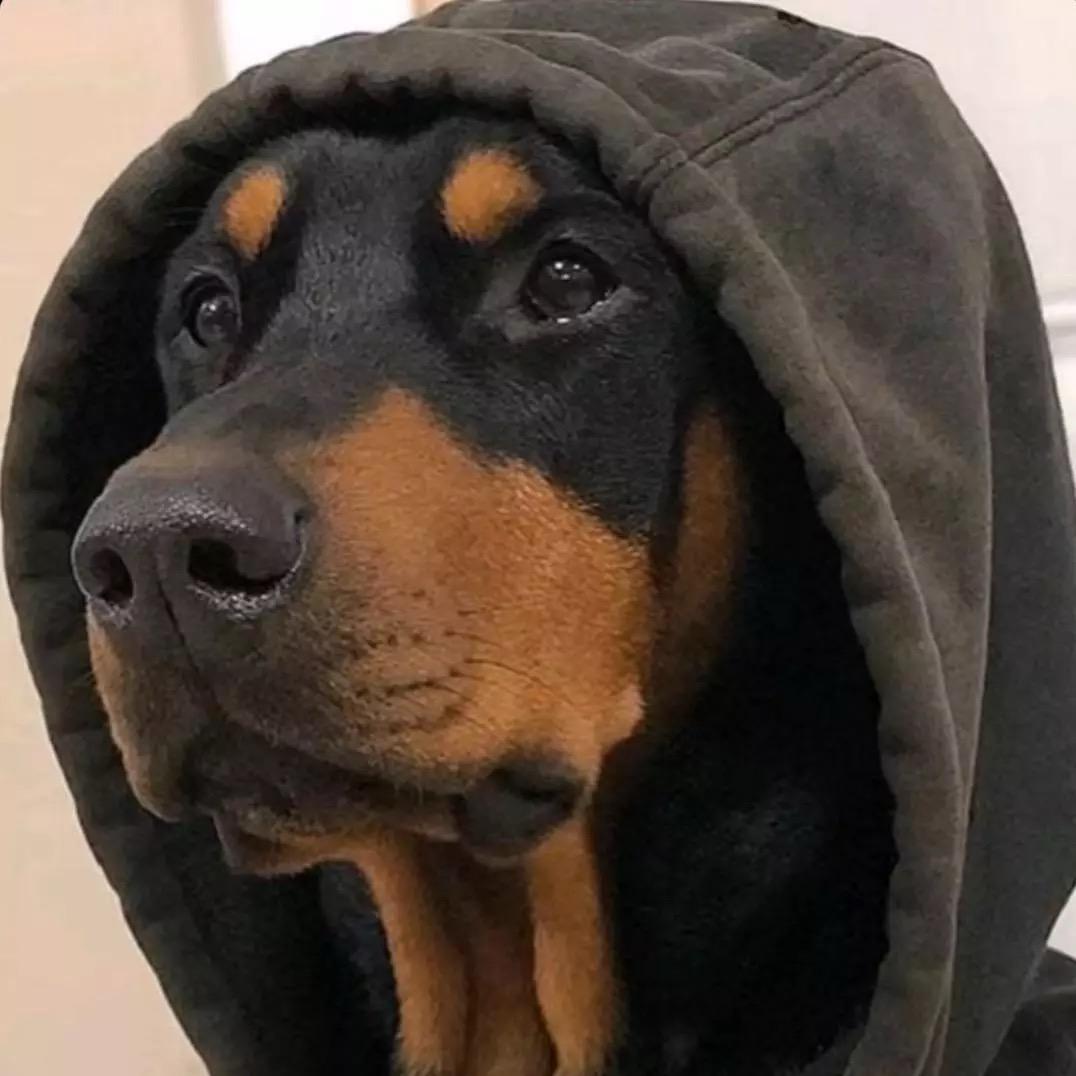 蒙面（三角洲）