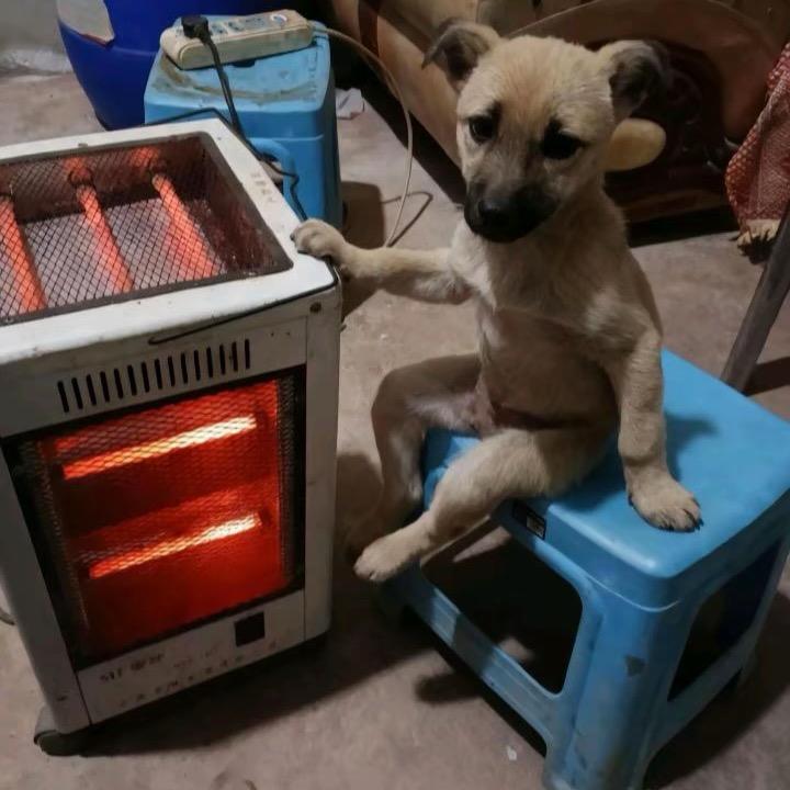 网恋秀牛被录屏