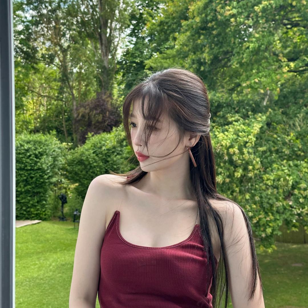 懒杨杨