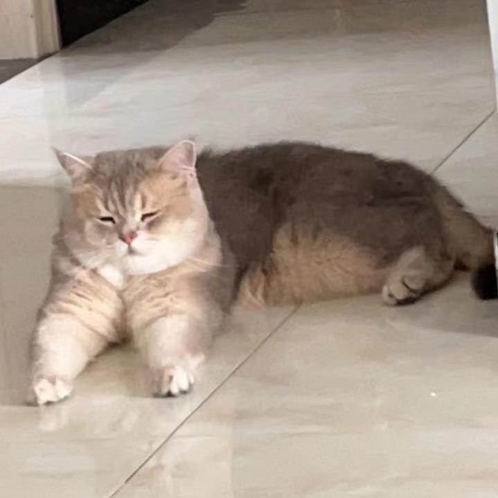 地球什么时候毁灭（90公斤版）