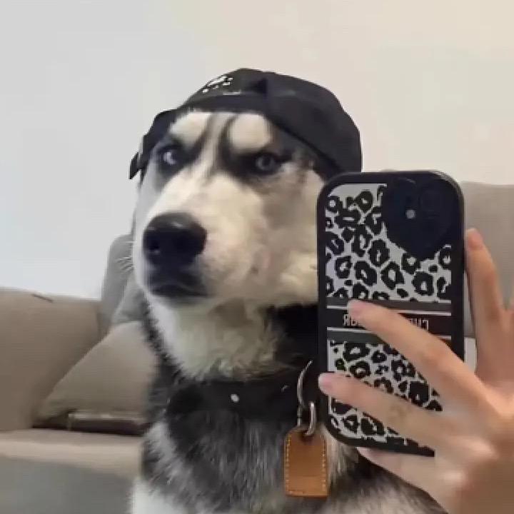 帅的俊