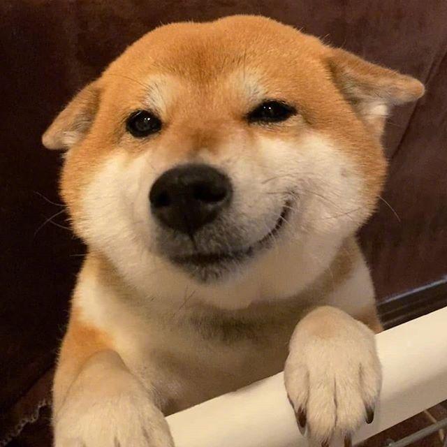 成全