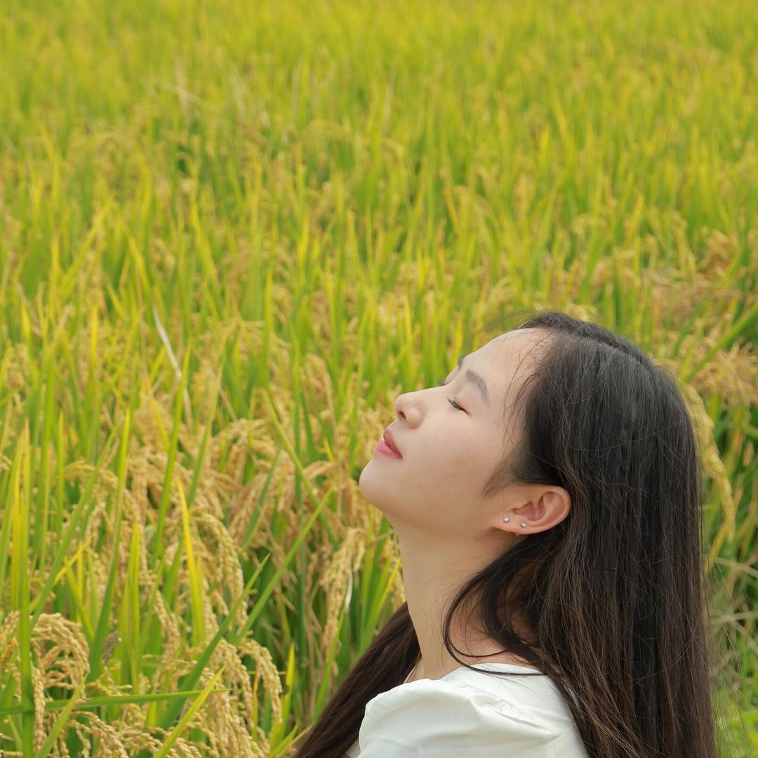 瑶瑶领先