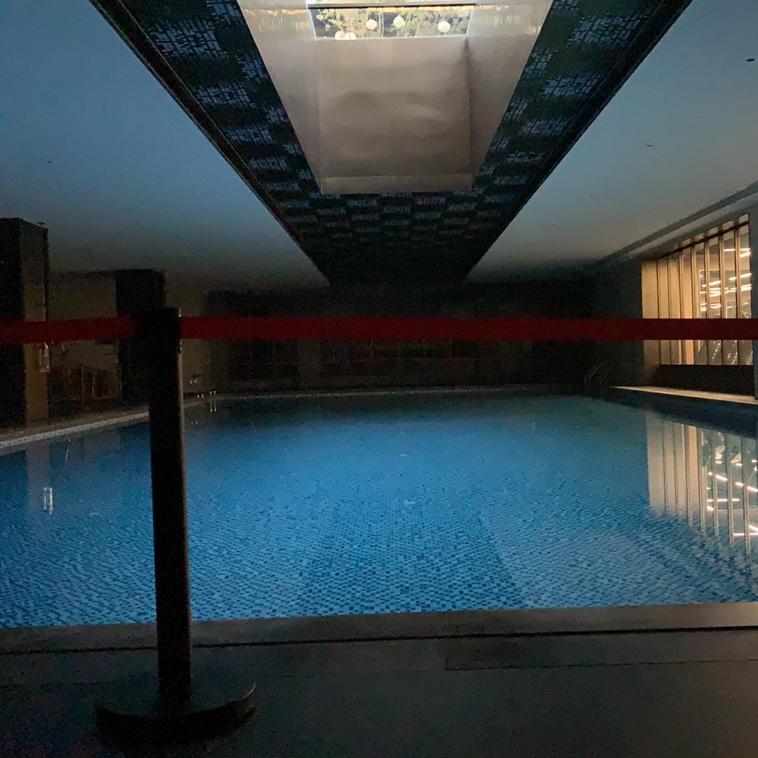 濮院鑫动力游泳健身多肉