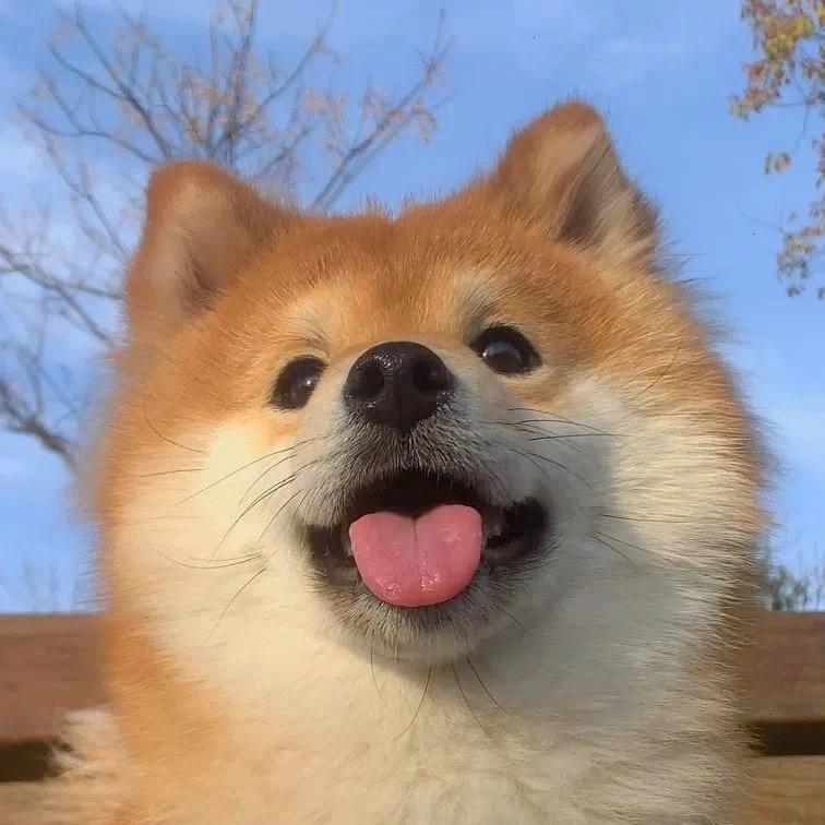 郝好好