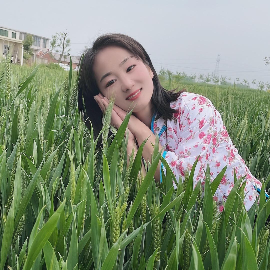 农村麦苗