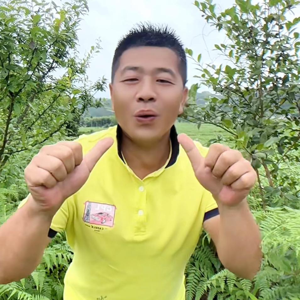 善火火