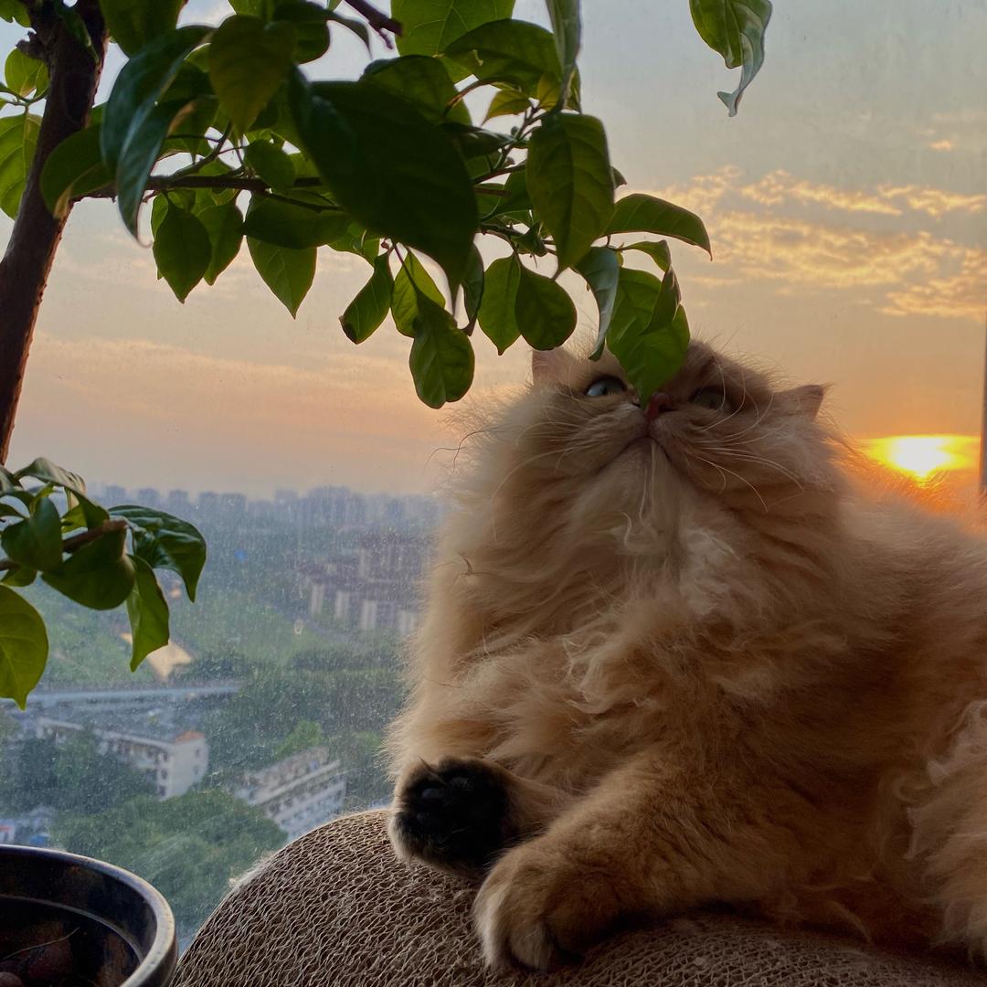 请关注宁波小洛熙