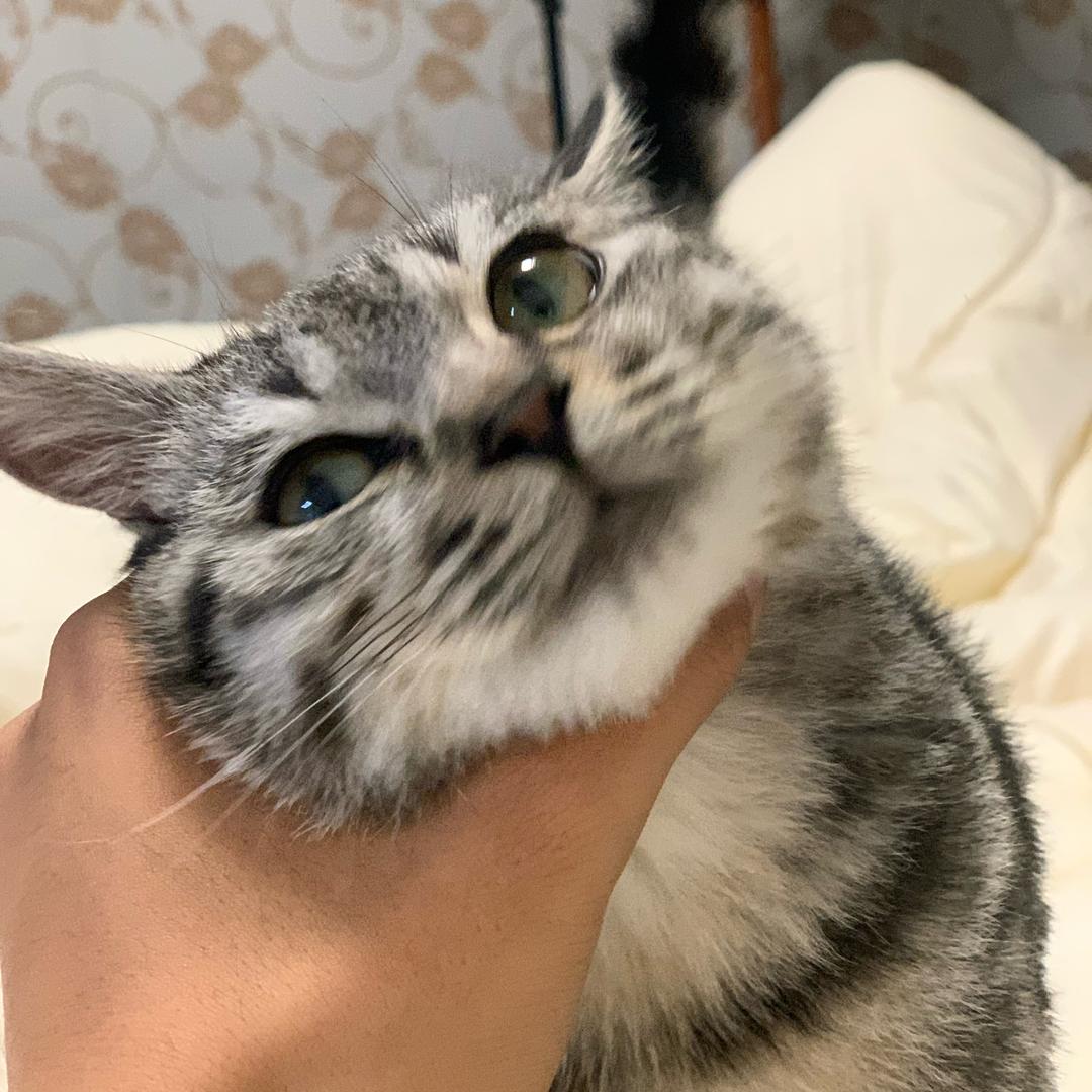 小飞猴📷